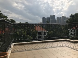 Tanglin Park (D10), Condominium #216656561